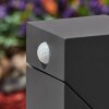 Borne lumineuse  Toogong LED Anthracite, 1 lumière, Détecteur de mouvement