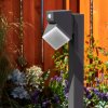 Borne lumineuse  Toogong LED Anthracite, 1 lumière, Détecteur de mouvement