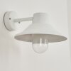 Applique murale d'extérieur  Pumiri LED Blanc, 1 lumière