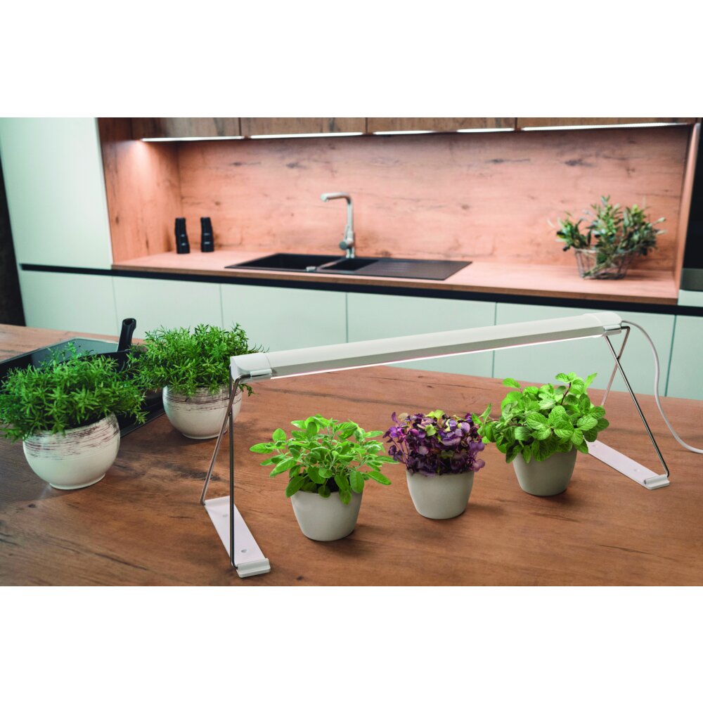 Lampe de table LEDVANCE Indoor Garden Blanc, 1 lumière main product photo