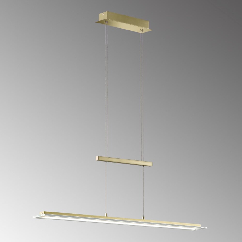Suspension Fischer & Honsel Tenso TW LED Laiton, 1 lumière main product photo