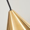 Suspension  Hueso Noir, 1 lumière