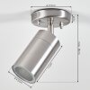 plafonnier extérieur  Bessiebelle Acier inoxydable, Blanc, 1 lumière