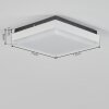 plafonnier extérieur  Gomero LED Anthracite, Blanc, 1 lumière