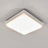 plafonnier extérieur  Gomero LED Anthracite, Blanc, 1 lumière