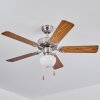 Ventilateur de plafond  Apiao Brun, Couleur bois, Argenté, 1 lumière