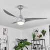 Ventilateur de plafond  Malloa LED Titane, 1 lumière, Télécommandes