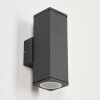 Applique murale d'extérieur  Oatlands Anthracite, Blanc, 2 lumières