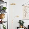 Lampadaire  Confluencia LED Laiton, 2 lumières
