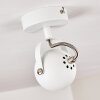 Plafonnier Gadmen Chrome, Blanc, 1 lumière