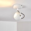 Plafonnier Gadmen Chrome, Blanc, 1 lumière