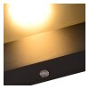 Applique murale d'extérieur Lucide LIAM Anthracite, 1 lumière