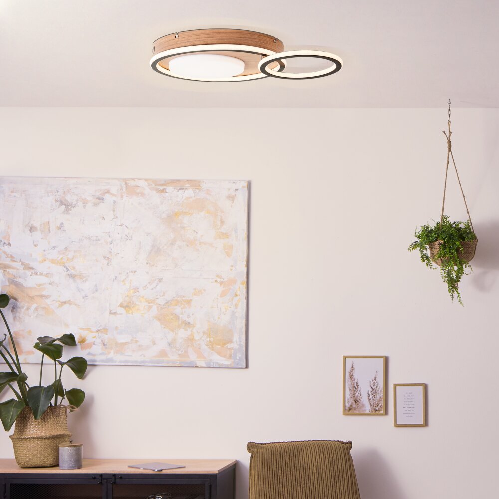 Plafonnier Brilliant Karney LED Brun, Noir, 1 lumière main product photo
