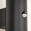Applique murale d'extérieur  Caragua Noir, 2 lumières, Détecteur de mouvement