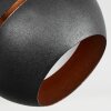 Plafonnier  Tome LED Laiton, Noir, 2 lumières