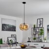Suspension  Collanco Noir, 1 lumière