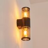 Applique murale d'extérieur  Caragua Anthracite, 2 lumières