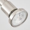Plafonnier  Lonquimay Nickel mat, 4 lumières