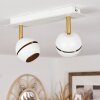 Plafonnier  Tome LED Laiton, Blanc, 2 lumières