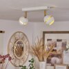 Plafonnier  Tome LED Laiton, Blanc, 2 lumières