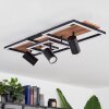 Plafonnier  Sequeira LED Bois clair, Couleur bois, Noir, 4 lumières