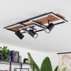Plafonnier  Sequeira LED Bois clair, Couleur bois, Noir, 4 lumières