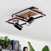 Plafonnier  Sequeira LED Bois clair, Couleur bois, Noir, 3 lumières Plafonnier  Sequeira LED Bois clair, Couleur bois, Noir, 3 lumières