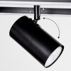 Plafonnier  Sequeira LED Bois clair, Couleur bois, Noir, 3 lumières Plafonnier  Sequeira LED Bois clair, Couleur bois, Noir, 3 lumières