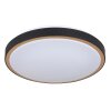 Plafonnier Globo SAMMI LED Laiton, Noir, Blanc, 1 lumière