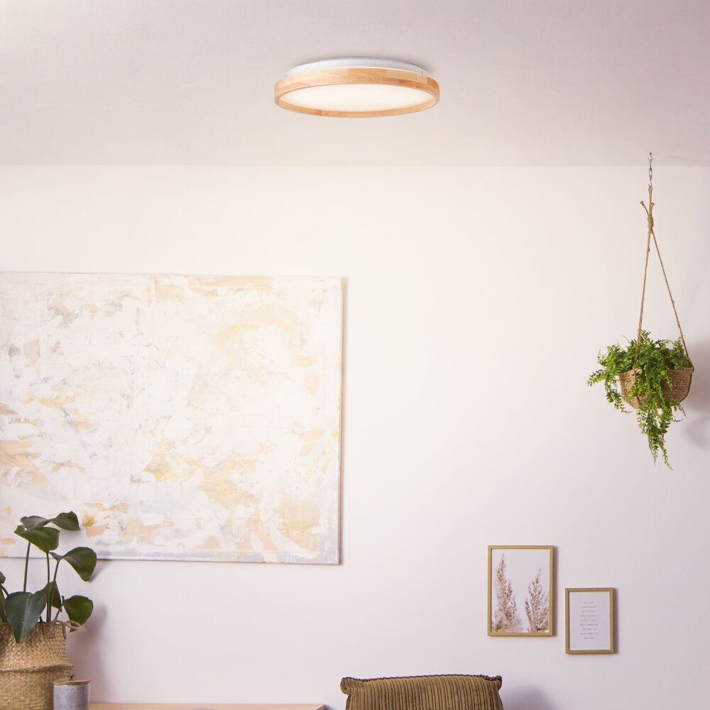 Plafonnier Brilliant Alson LED Blanc, 1 lumière main product photo