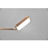 Lampe de table Trio Pavia LED Vieux laiton, 1 lumière