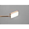 Lampe de table Trio Pavia LED Vieux laiton, 1 lumière