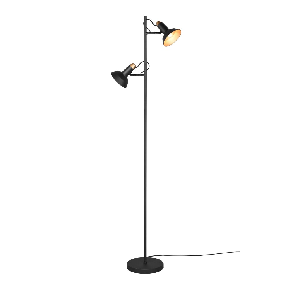 Lampadaire Trio Roxie Noir, 2 lumières main product photo