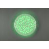Plafonnier Reality Chizu LED Blanc, 1 lumière, Télécommandes, Changeur de couleurs