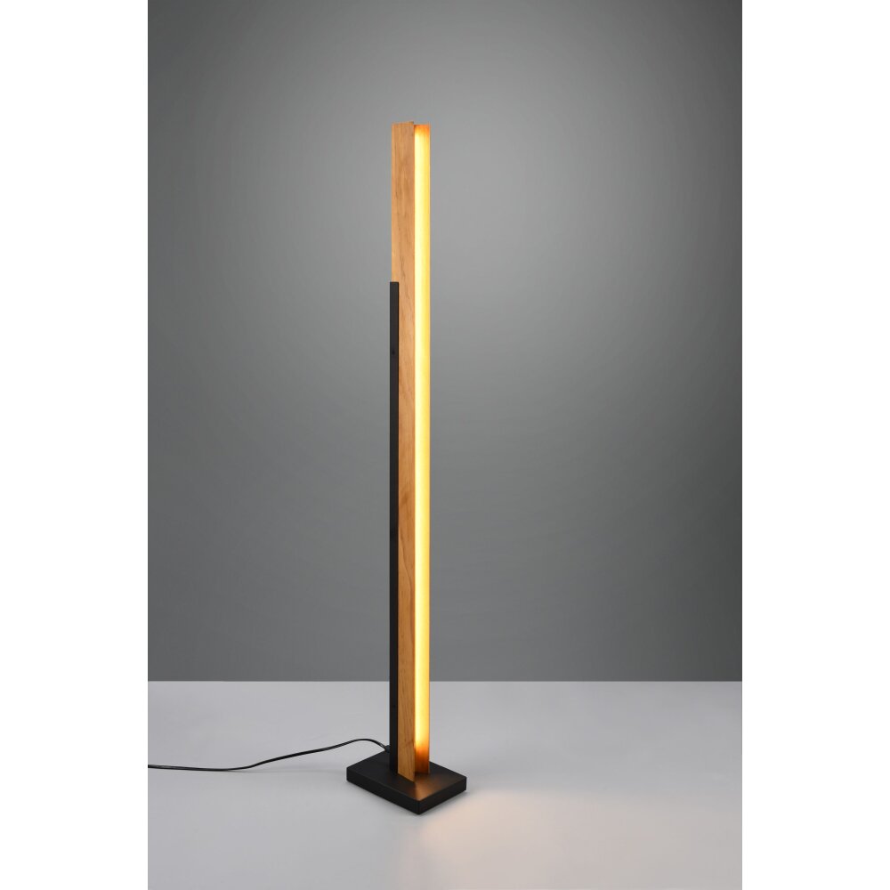 Lampadaire Trio Kerala LED Noir, 1 lumière main product photo
