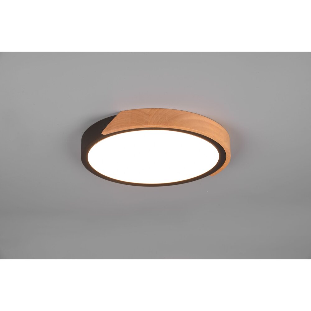 Plafonnier Reality Jano LED Noir, 1 lumière main product photo
