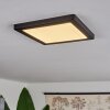 Plafonnier  Canditas LED Noir, 1 lumière Plafonnier  Canditas LED Noir, 1 lumière