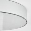 Plafonnier  Mentque LED Argenté, 1 lumière