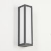 Applique murale d'extérieur  Apidou LED Anthracite, 1 lumière