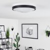 Plafonnier  Subles LED Noir, Blanc, 1 lumière, Détecteur de mouvement