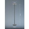 Lampadaire Fischer & Honsel Dent LED Noir, 1 lumière