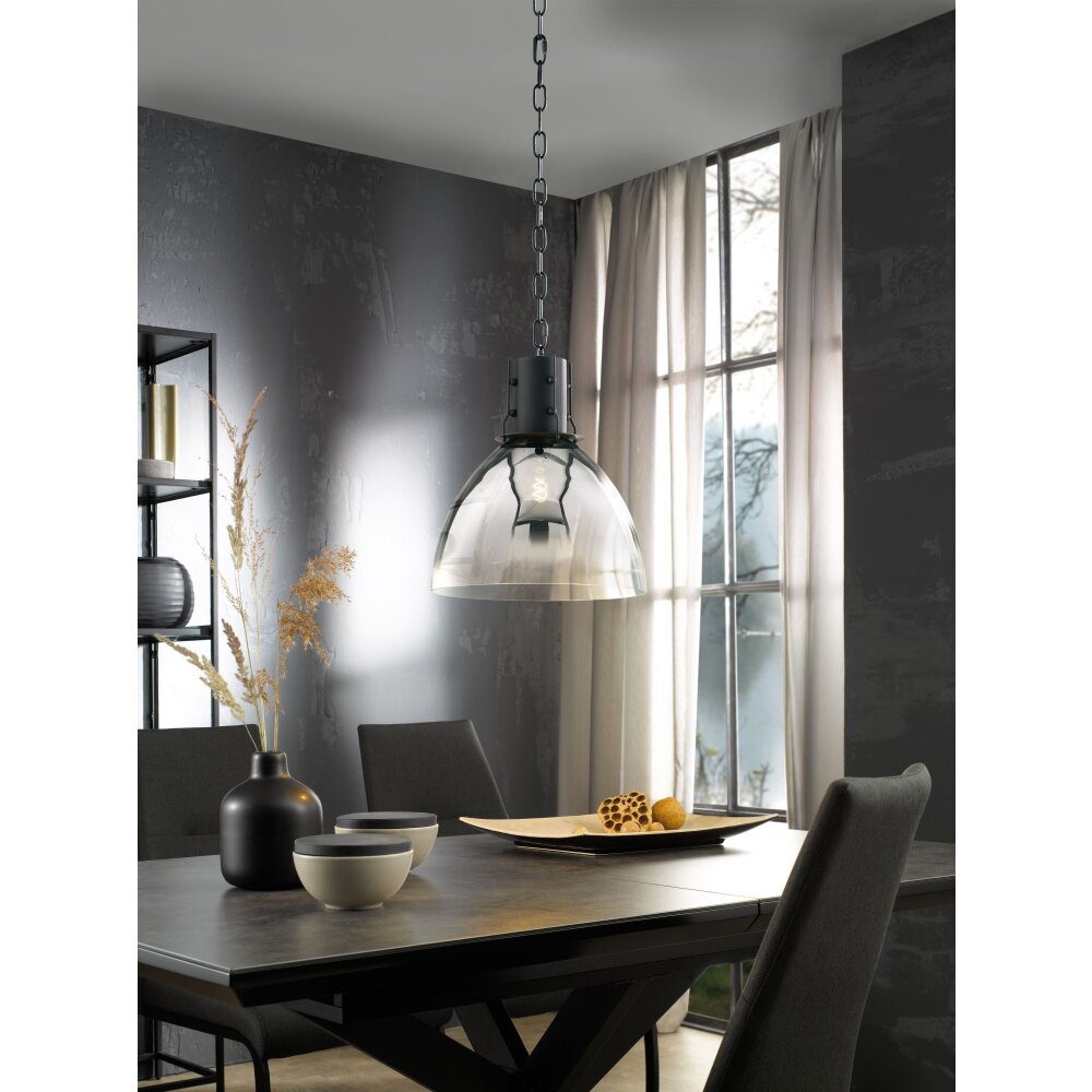 Suspension Fischer & Honsel Londo Noir, 1 lumière main product photo