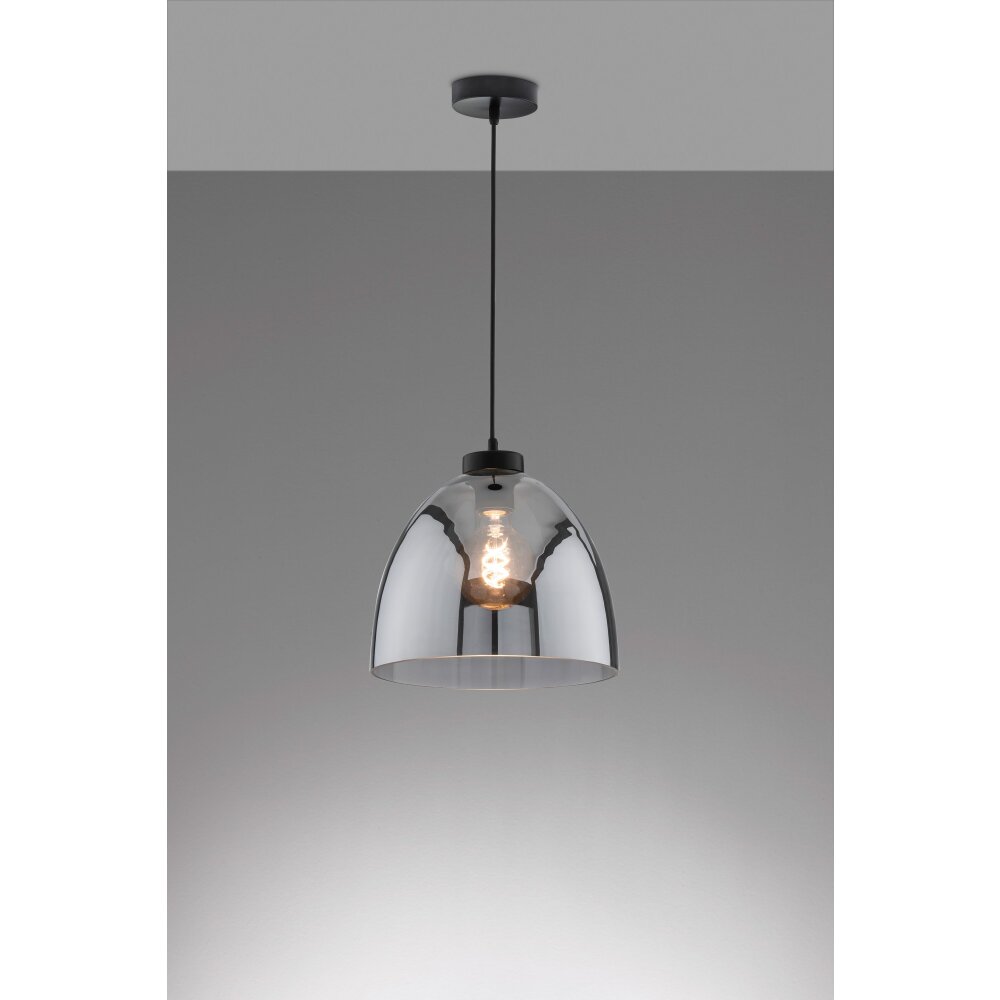 Suspension Fischer & Honsel Ren Noir, 1 lumière main product photo