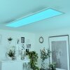 Plafonnier  Montalba LED Blanc, 1 lumière, Télécommandes, Changeur de couleurs