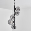 Suspension  Remaisnil Noir, 5 lumières
