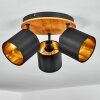 Plafonnier  Alsen Écru, Noir, 3 lumières