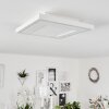 Plafonnier  Audrieu LED Blanc, 2 lumières