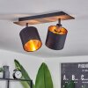 Plafonnier  Alsen Bois foncé, Noir, 2 lumières