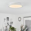 Plafonnier  Sani LED Blanc, 1 lumière, Télécommandes, Changeur de couleurs