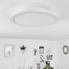 Plafonnier  Sani LED Blanc, 1 lumière, Télécommandes, Changeur de couleurs